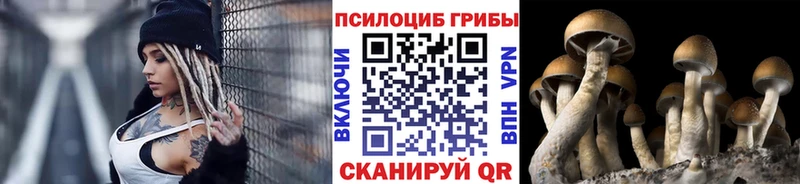 Галлюциногенные грибы мухоморы Купить Югорск